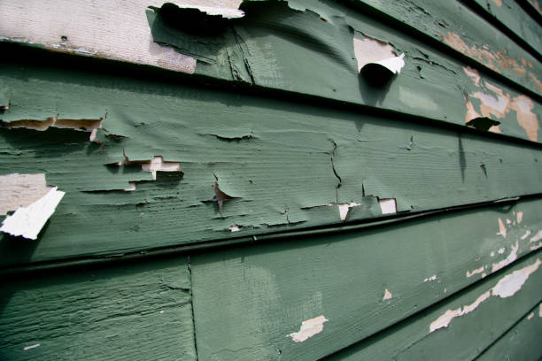 How To Choose The Right Materials for Your Siding Installation in 'Walworth, WI